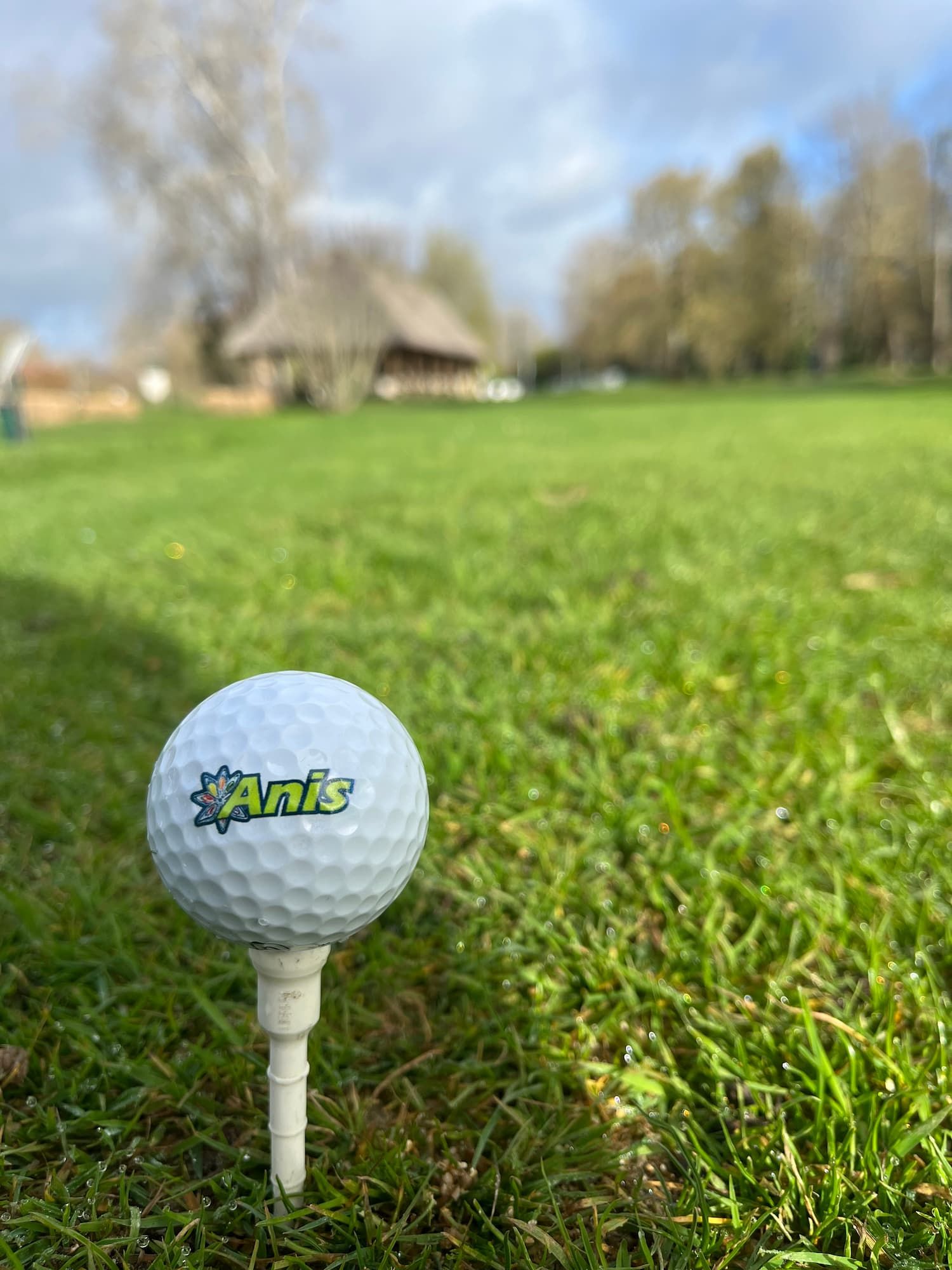 Balle de Golf par Arpi